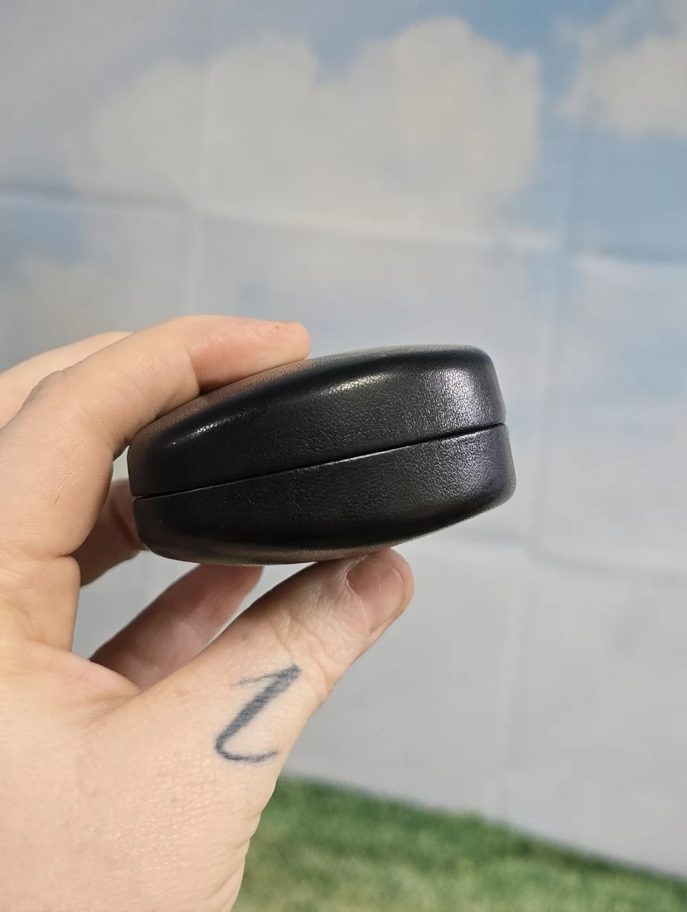 Ray-Ban Black Leather Glasses Hardcase